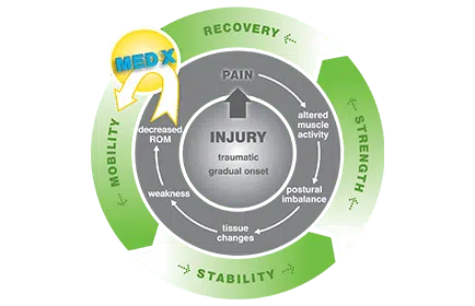neck-feature-medx MedX graphic
