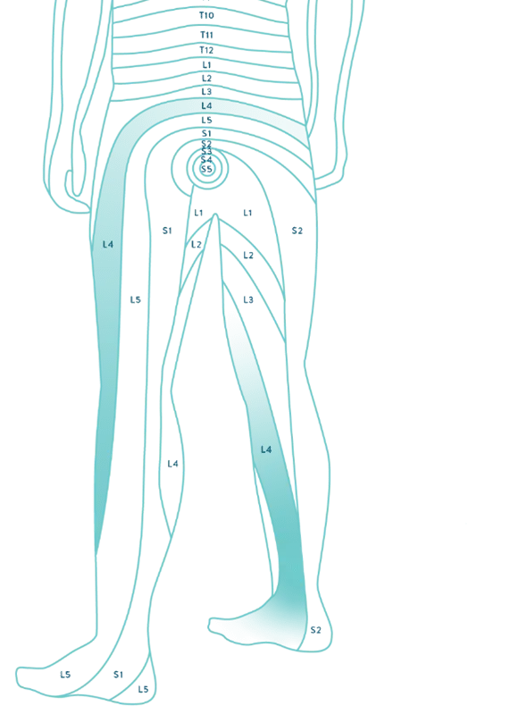 DRG Body Graphic DRG Body Graphic