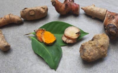Anti-Inflammatory Diets Part 3: The benefits of Zingiberaceae